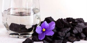 All You Need to Know About Shungite Water and Its Benefits